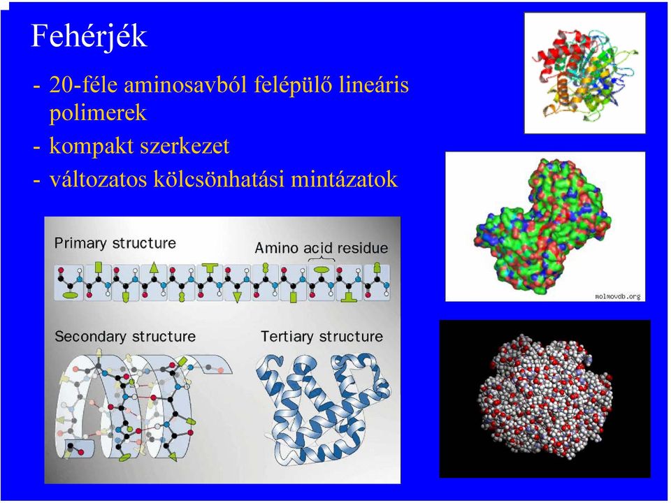 lineáris polimerek - kompakt