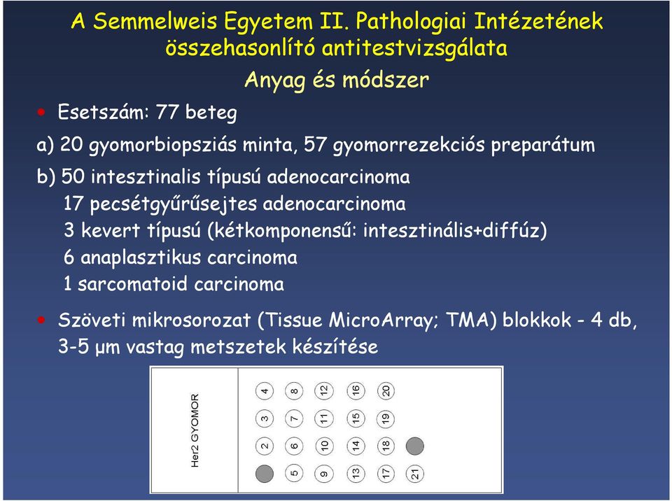 gyomorbiopsziás minta, 57 gyomorrezekciós preparátum b) 50 intesztinalis típusú adenocarcinoma 17