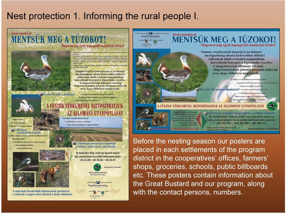 district in the cooperatives offices, farmers shops, groceries, schools, public