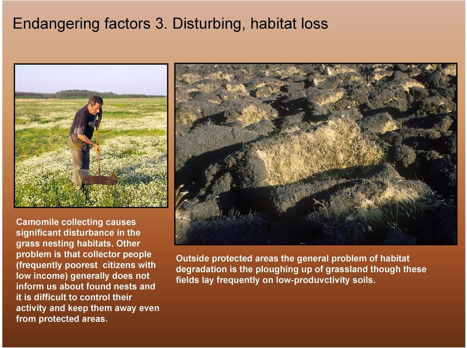 nests and it is difficult to control their activity and keep them away even from protected areas.