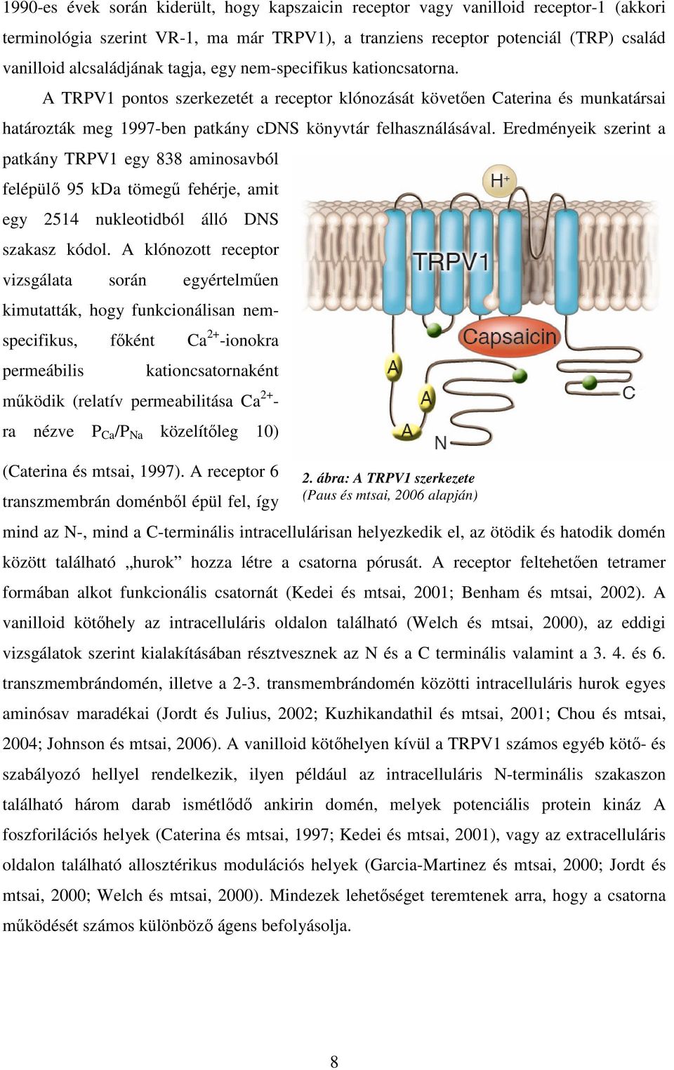 Eredményeik szerint a patkány TRPV1 egy 838 aminosavból felépülő 95 kda tömegű fehérje, amit egy 2514 nukleotidból álló DNS szakasz kódol.