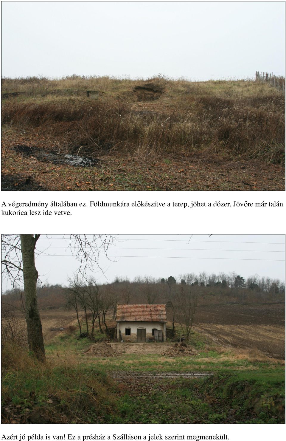 Jövőre már talán kukorica lesz ide vetve.