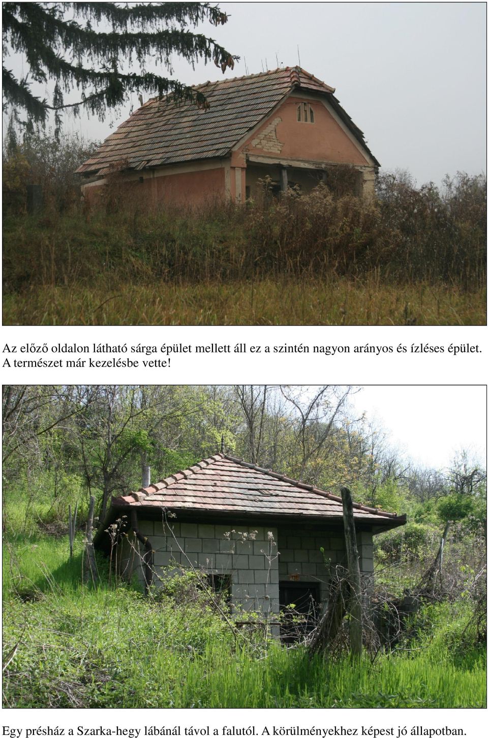 A természet már kezelésbe vette!