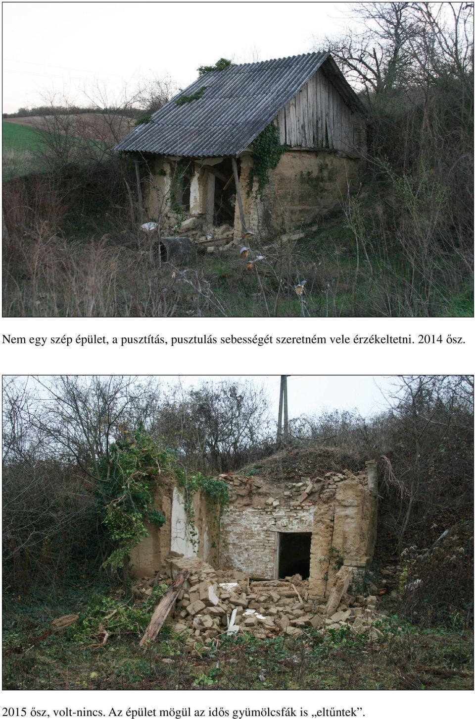 érzékeltetni. 2014 ősz.
