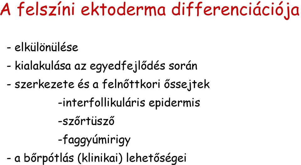 felnőttkori őssejtek -interfollikuláris epidermis