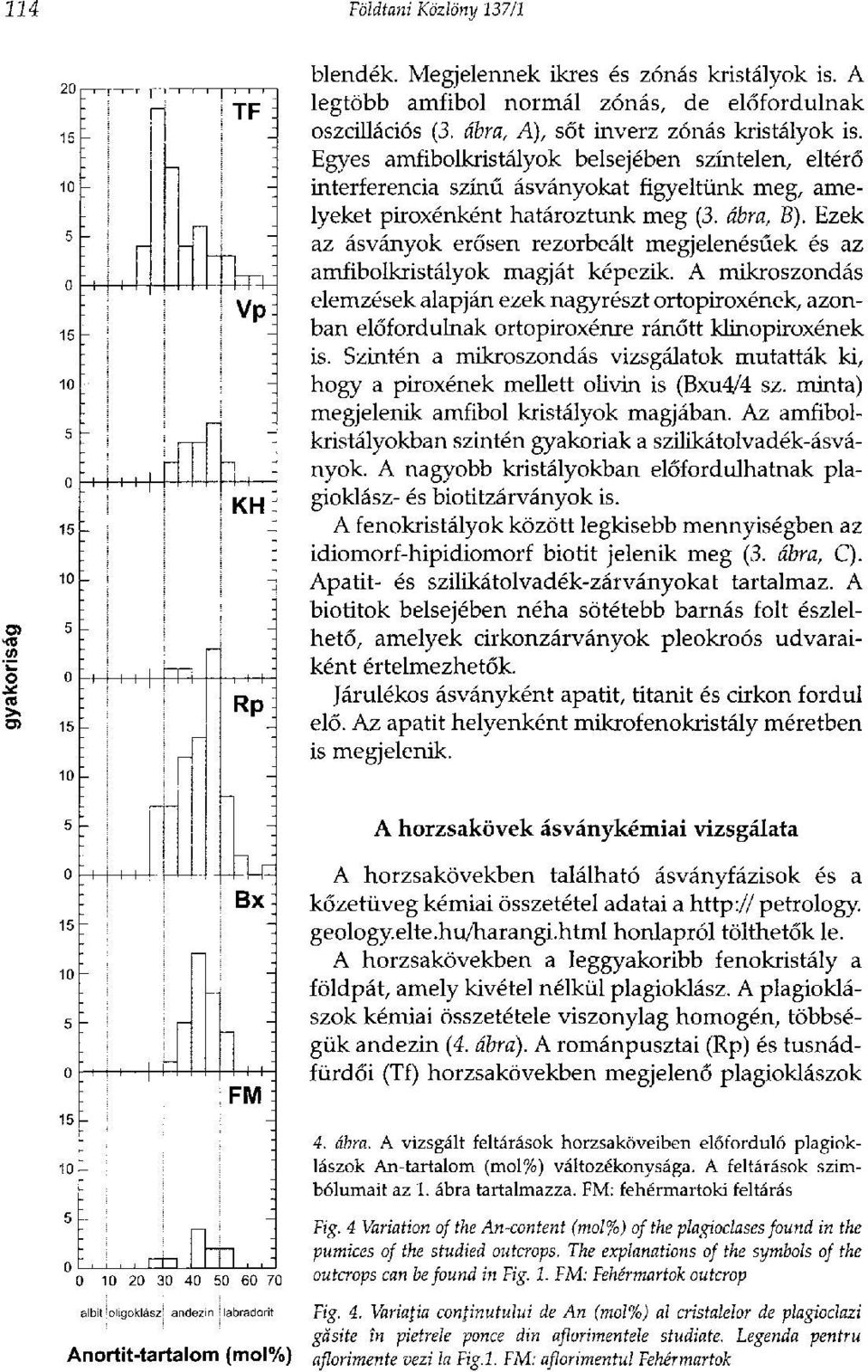 Ezek az ásványok erősen rezorbeált megjelenésűek és az amfibolkristályok magját képezik.