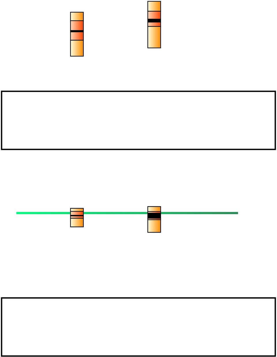 Országos -12,1 -,82-1,5-1,12 2,91 6,7 Község -13,3-6,75-3,29-2,73 1,37,91 Város -1,9-2,73 -,56,18 3,32 6,36 Megyeszékhely -9,98-1,1,78 2,3 5,32 9,5 Budapest -1,8 -,78,93 2,32 5, 9,9 A tanulási