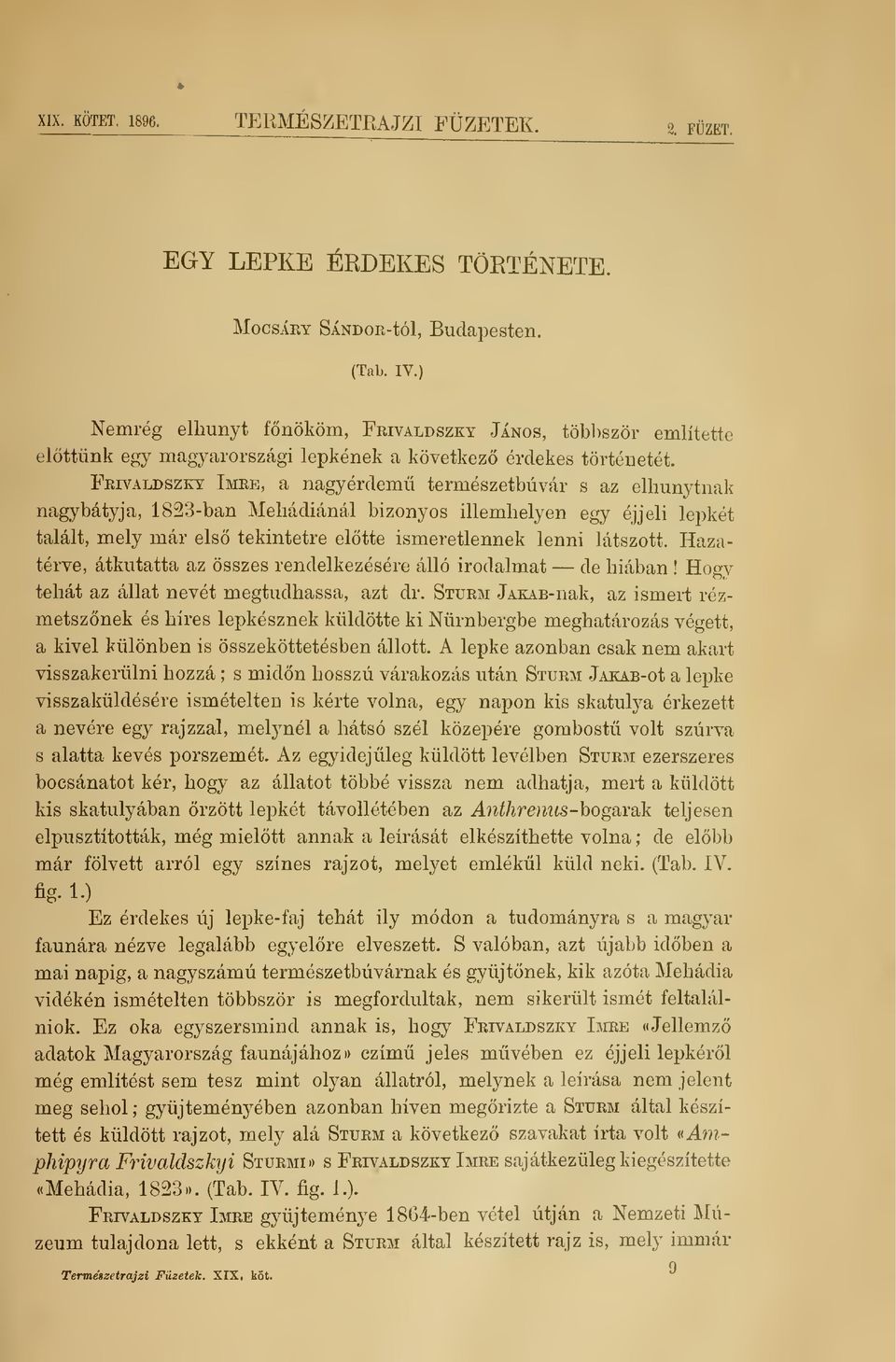 Frtvaldszkt Imee, a nagyérdem természetbúvár s az elhunytnak nagybátyja, 1823-ban Mehádiánál bizonyos illemhelyen egy éjjeli lepkét talált, mely már els tekintetre eltte ismeretlennek lenni látszott.