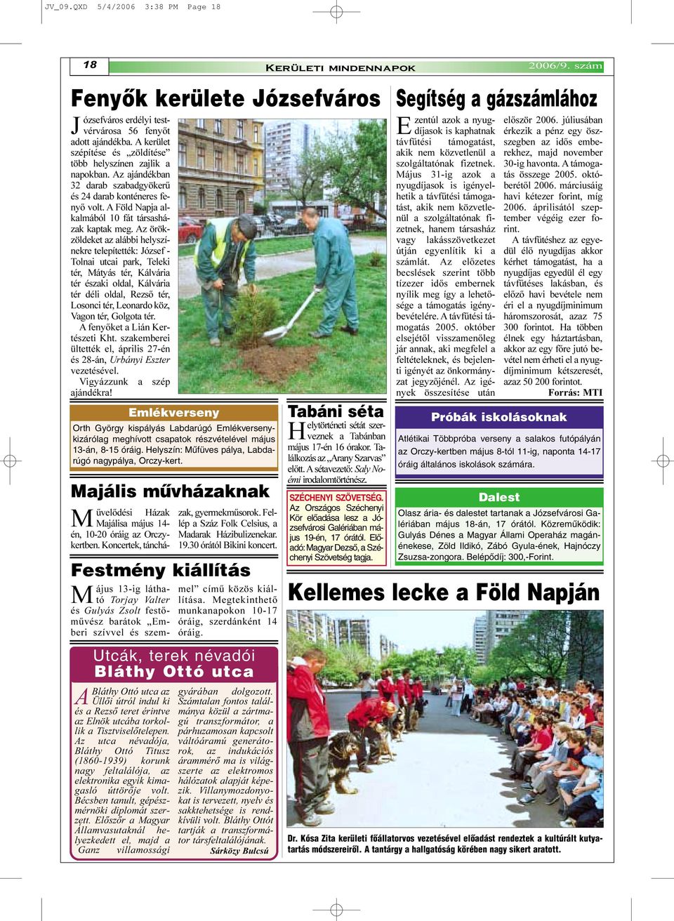 Az örökzöldeket az alábbi helyszínekre telepítették: József - Tolnai utcai park, Teleki tér, Mátyás tér, Kálvária tér északi oldal, Kálvária tér déli oldal, Rezsõ tér, Losonci tér, Leonardo köz,