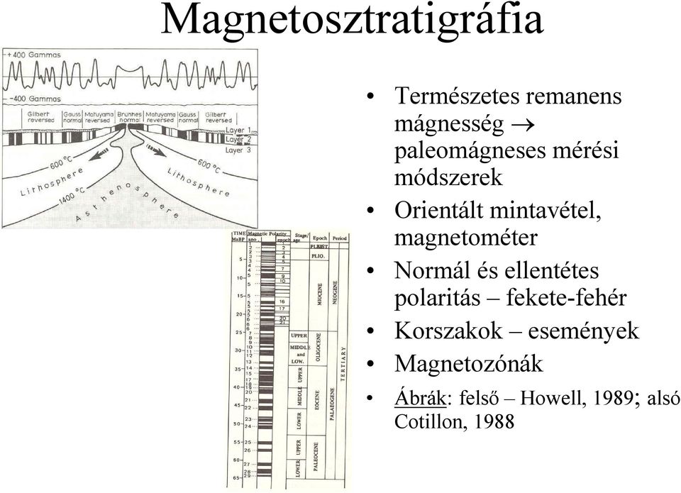 magnetométer Normál és ellentétes polaritás fekete-fehér