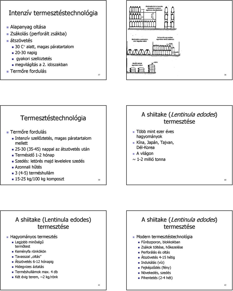 az átszövetés s után Termésid sidő 1-22 hónaph Szedés: letörés s majd levelekre szedés Azonnali hűtésh 3 (4-5) terméshull shullám 15-25 kg/100 kg komposzt Több mint ezer éves hagyományok Kína, Japán,