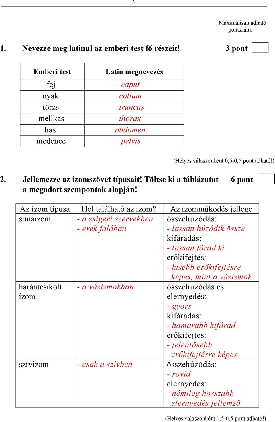 Az izommőködés jellege simaizom - a zsigeri szervekben - erek falában összehúzódás: - lassan húzódik össze kifáradás: - lassan fárad ki erıkifejtés: - kisebb erıkifejtésre harántcsíkolt izom - a