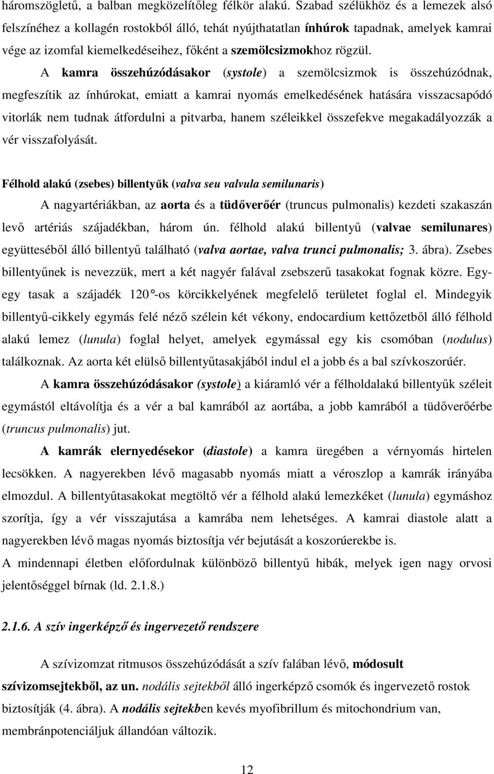 A kamra összehúzódásakor (systole) a szemölcsizmok is összehúzódnak, megfeszítik az ínhúrokat, emiatt a kamrai nyomás emelkedésének hatására visszacsapódó vitorlák nem tudnak átfordulni a pitvarba,