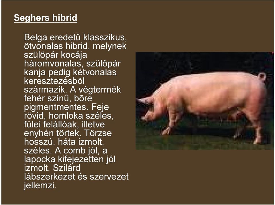 A végtermék fehér színû, bõre pigmentmentes.