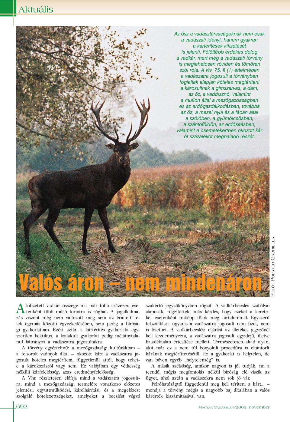 (1) értelmében a vadászatra jogosult a törvényben foglaltak alapján köteles megtéríteni a károsultnak a gímszarvas, a dám, az õz, a vaddisznó, valamint a muflon által a mezõgazdaságban és az