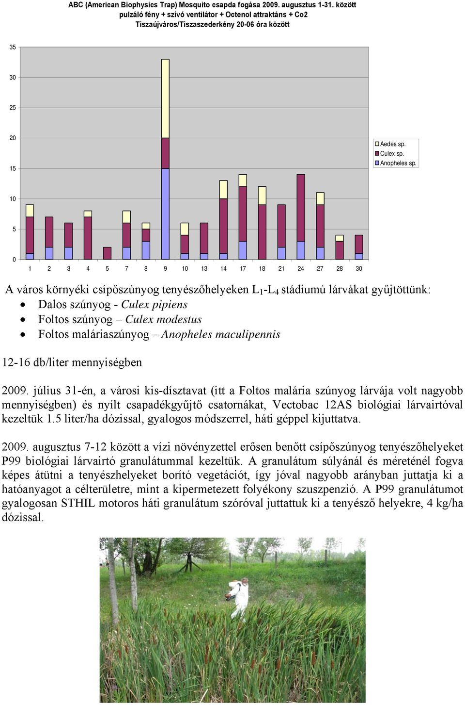 gyűjtöttünk: Dalos szúnyog - Culex pipiens Foltos szúnyog Culex modestus Foltos maláriaszúnyog Anopheles maculipennis - db/liter mennyiségben 9.