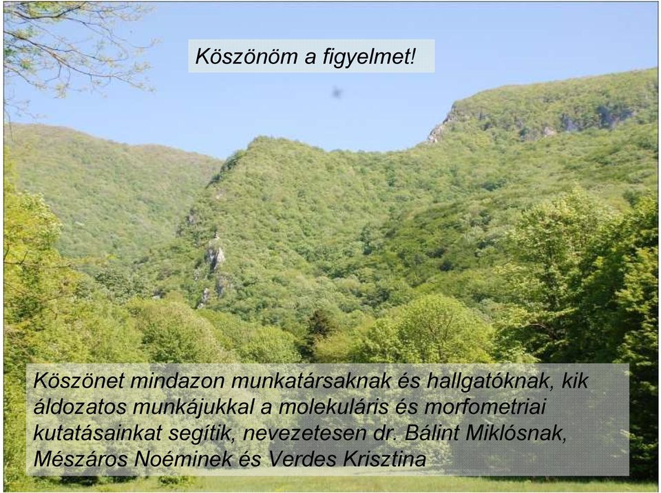 áldozatos munkájukkal a molekuláris és morfometriai