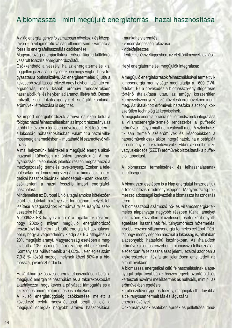Csökkenthet a veszély, ha az energiatermelés kis, független gazdasági egységekben megy végbe, helyi fogyasztásra optimalizálva.