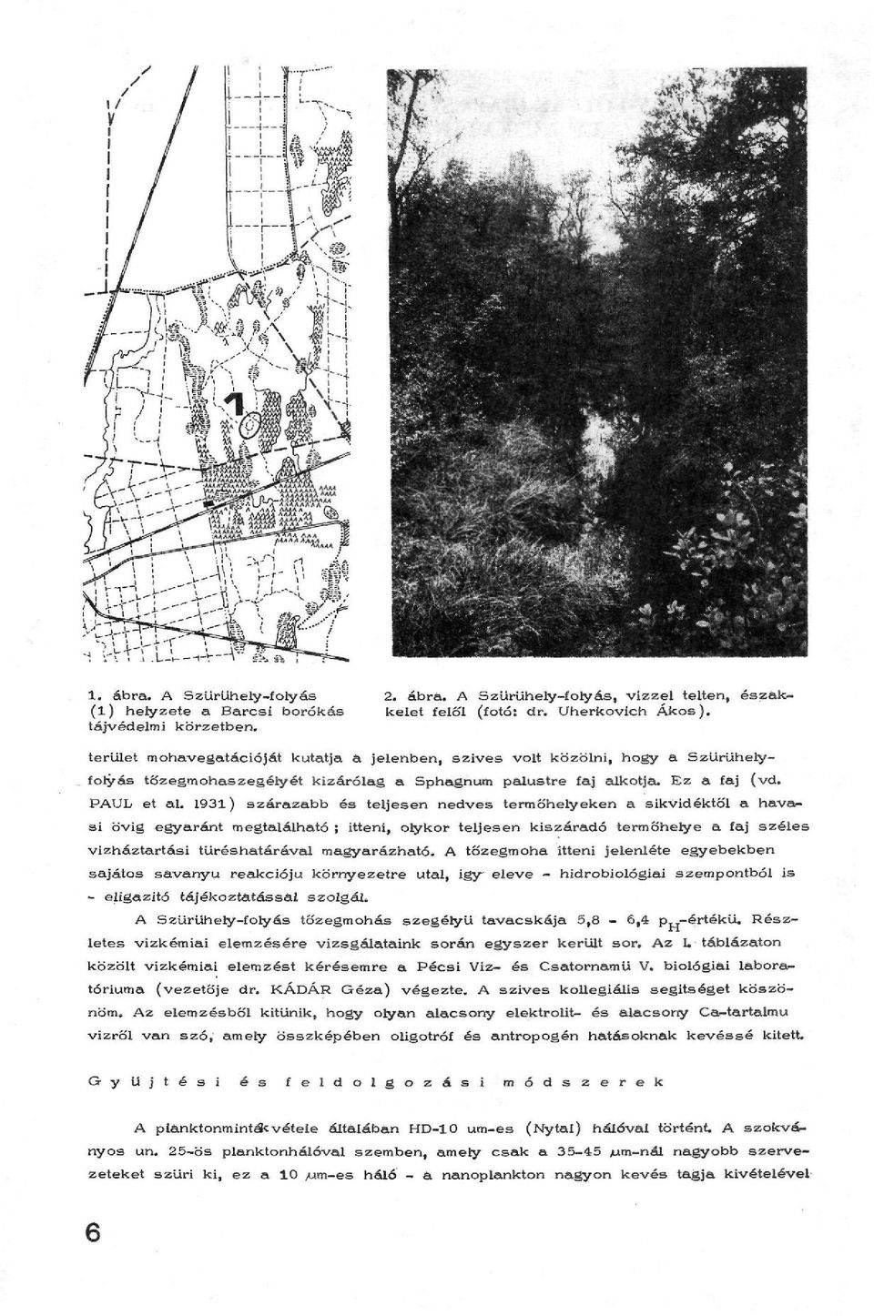 1931) szárazabb és teljesen nedves termőhelyeken a sikvidéktől a havasi övig egyaránt megtalálható ; itteni, olykor teljesen kiszáradó termőhelye a faj széles vizháztartási tűréshatárával