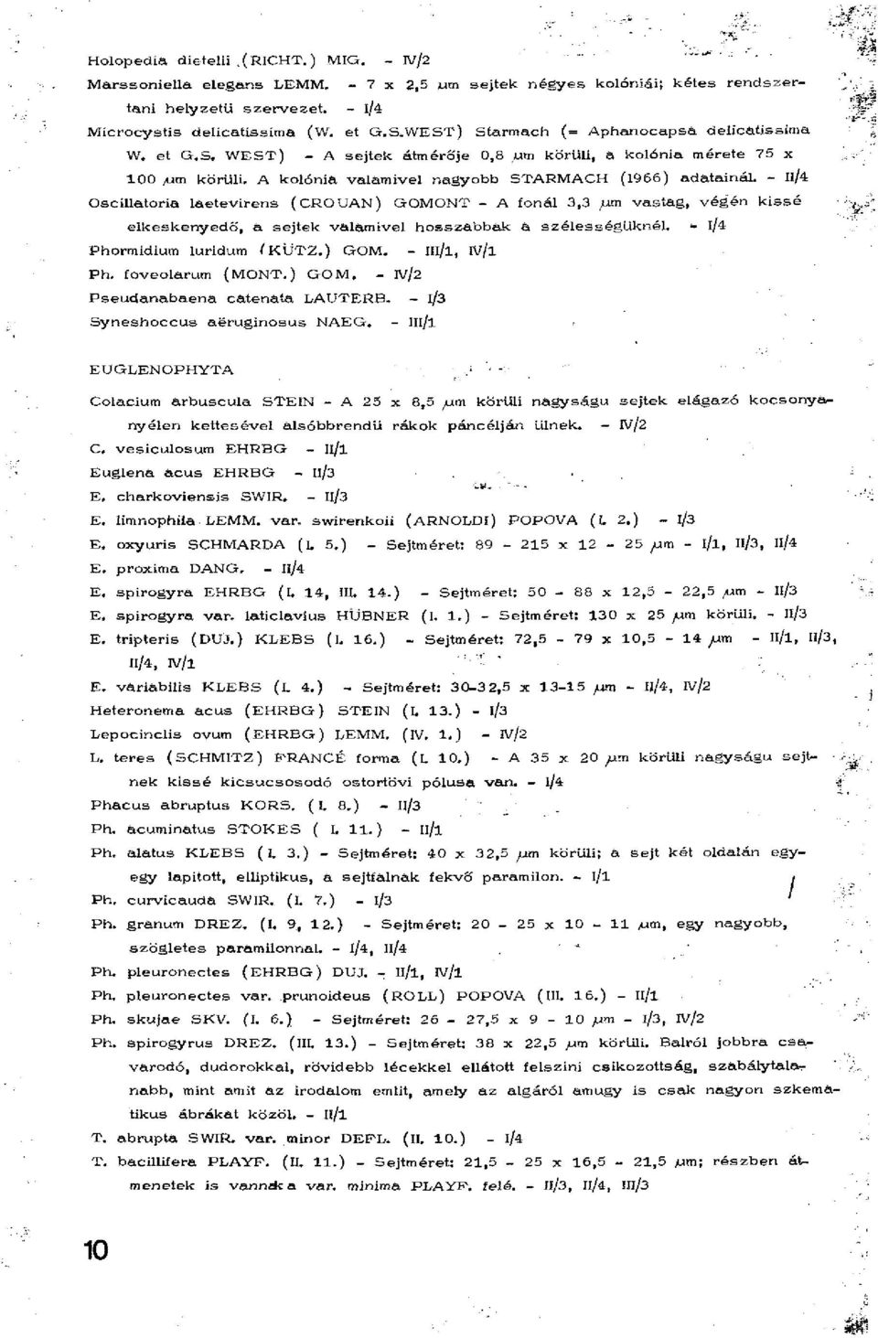 - Il/4 Oscillatoria laetevirens ( CROUAN) GOMONT - A fonál 3,3 p vastag, végén kissé elkeskenyedő, â sejtek valamivel hosszabbak a szélességüknél. - 1/4 Phormidium luridum ÍKÜTZ.) GOM. - lll/l, IV/l Ph.
