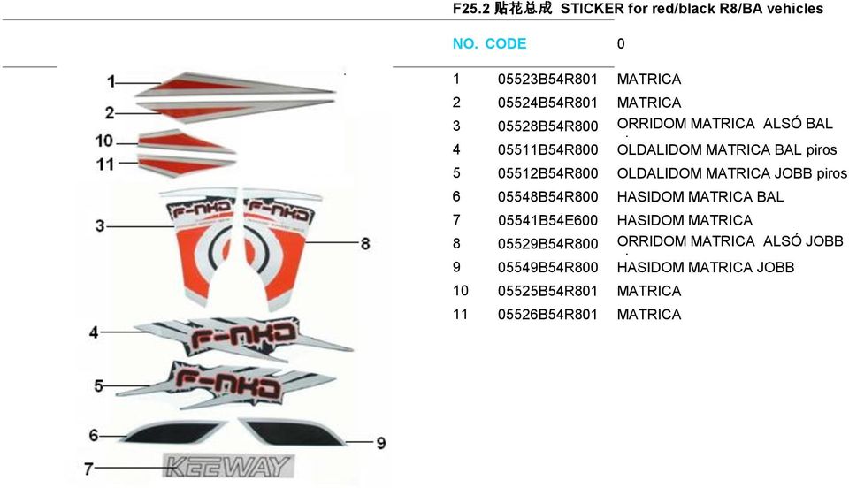 OLDALIDOM MATRICA JOBB piros 6 05548B54R800 HASIDOM MATRICA BAL 7 05541B54E600 HASIDOM MATRICA 8