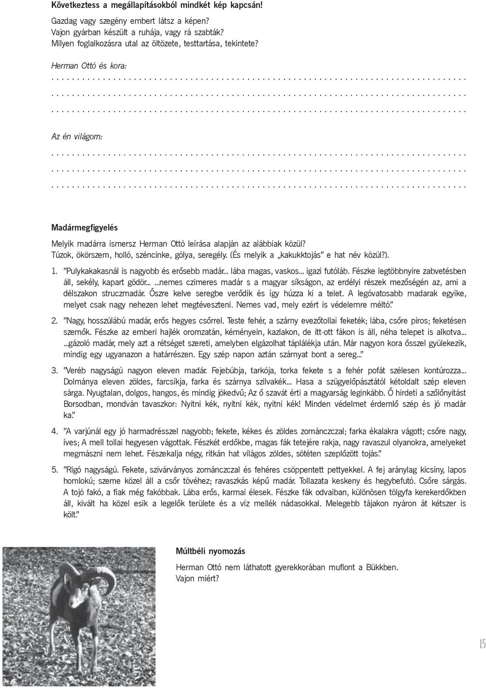 .................................................................................................................................................................................................................................................. Madármegfigyelés Melyik madárra ismersz Herman Ottó leírása alapján az alábbiak közül?