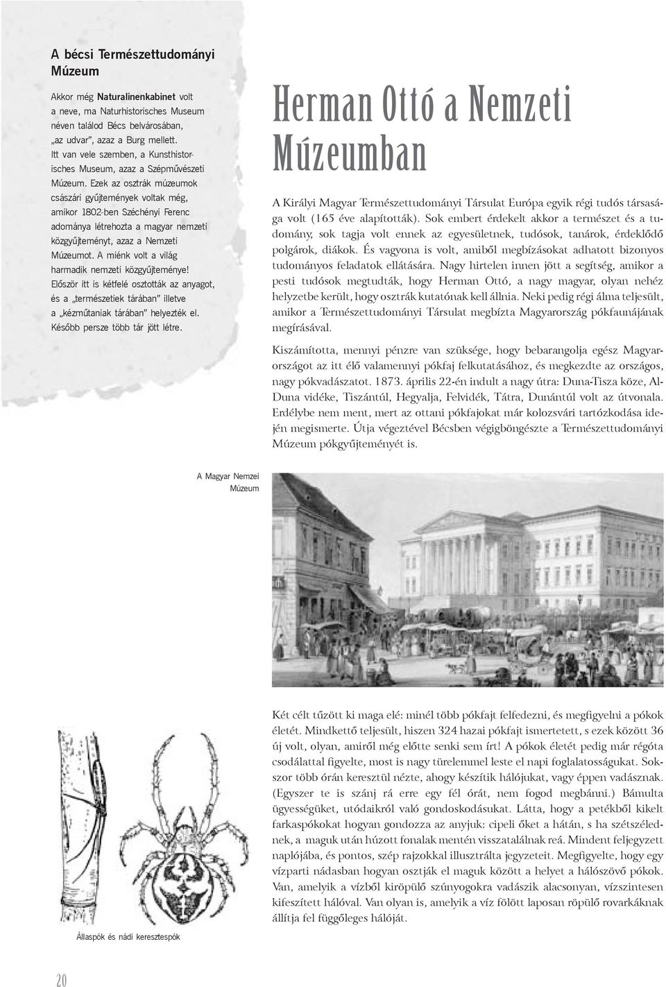 Ezek az osztrák múzeumok császári gyűjtemények voltak még, amikor 1802-ben Széchényi Ferenc adománya létrehozta a magyar nemzeti közgyűjteményt, azaz a Nemzeti Múzeumot.