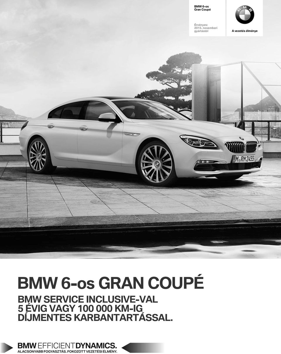 6-s gran CUpé BMW SERVICE INCLUSIVE-VaL 5