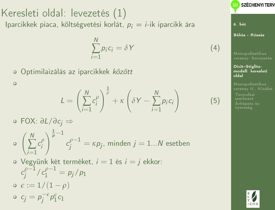 c i = δy (4) i=1 c ρ i ) 1 ρ + κ ( ) N δy p i c i i=1 = κp j, minden j = 1.