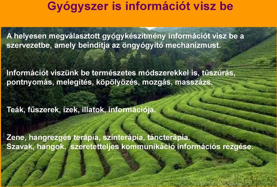 Információt viszünk be természetes módszerekkel is, tűszúrás, pontnyomás, melegítés, köpölyözés, mozgás,
