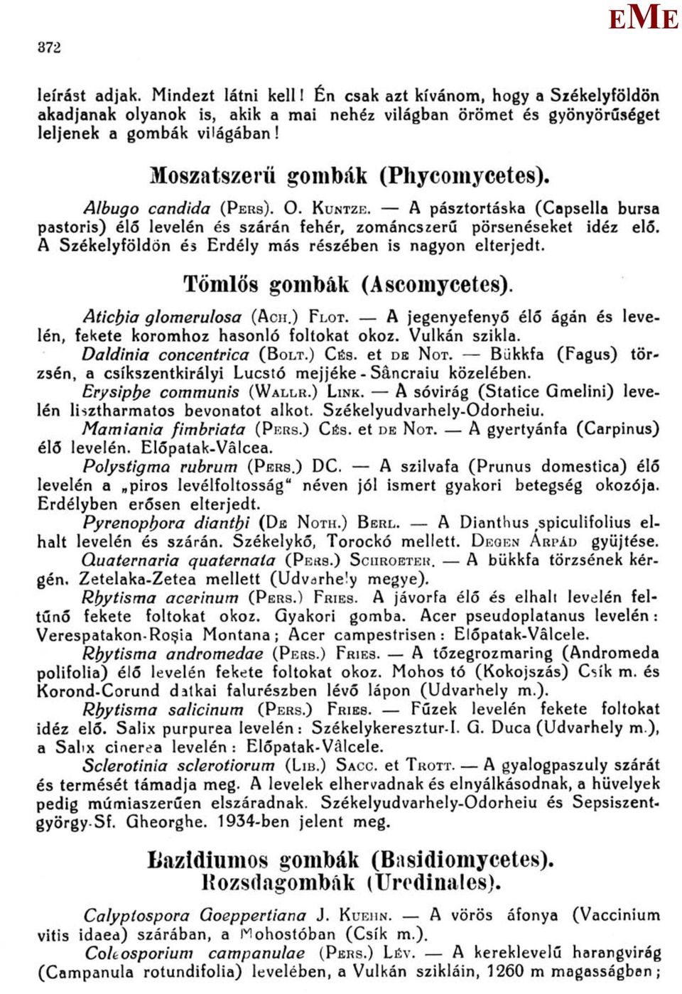 A Székelyföldön és rdély más részében is nagyon elterjedt. Tömlős gombák (Ascomycetes). Aticfria glomerulosa (ACH.) FLOT. A jegenyefenyő élő ágán és levelén, fekete koromhoz hasonló foltokat okoz.