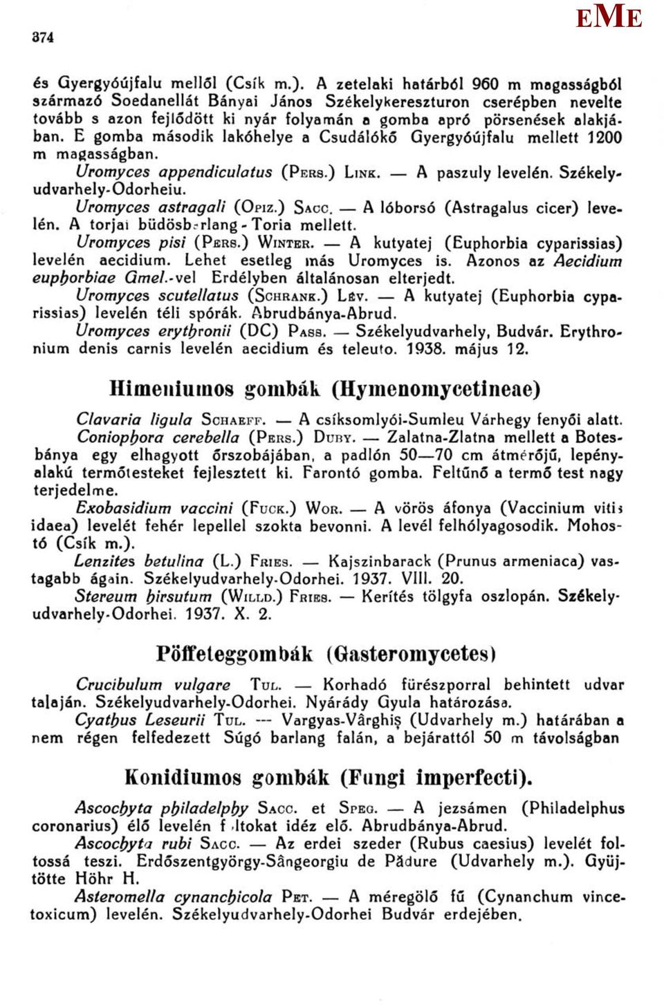 gomba második lakóhelye a Csudálókő Gyergyóújfalu mellett 1200 m magasságban. Uromyces appendiculatus (PRS.) LINK. A paszuly levelén. Székelyudvarhely-Odorheiu. Uromyces astragali (OPIZ.) SACC.