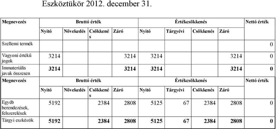 termék 0 Vagyoni értékű jogok Immateriális javak összesen 3214 3214 3214 3214 0 3214 3214 3214 3214 0 Megnevezés Bruttó