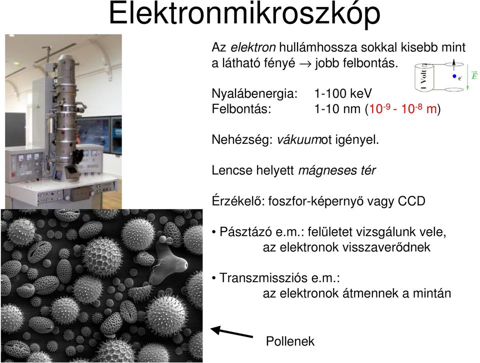 Lencse helyett mágneses tér Érzékelő: foszfor-képernyő vagy CCD Pásztázó e.m.: felületet vizsgálunk vele, az elektronok visszaverődnek Transzmissziós e.