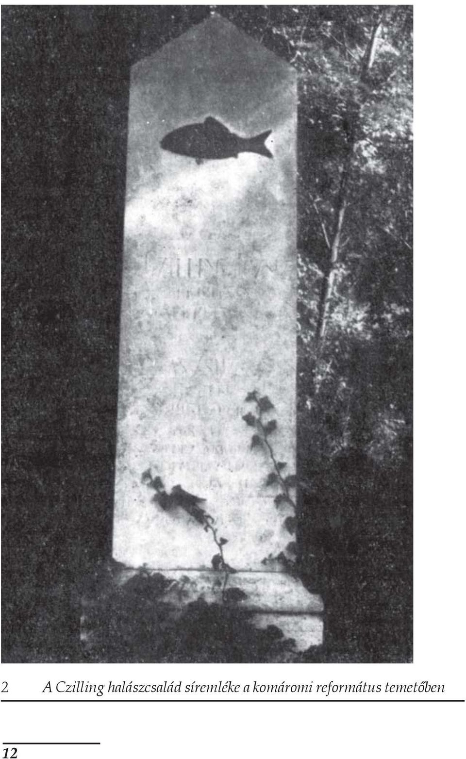 síremléke a