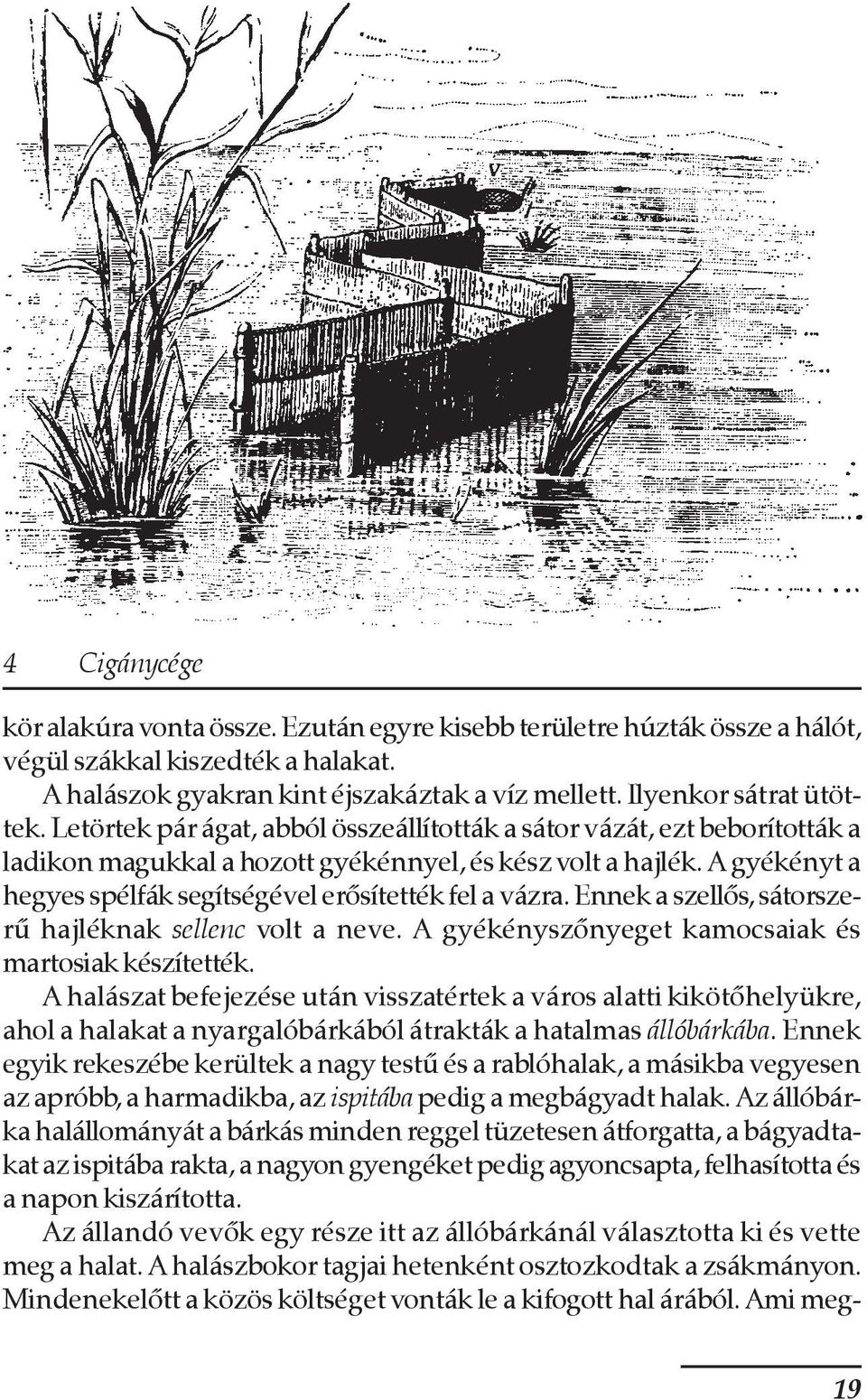 A gyékényt a hegyes spélfák segítségével erõsítették fel a vázra. Ennek a szellõs, sátorszerû hajléknak sellenc volt a neve. A gyékényszõnyeget kamocsaiak és martosiak készítették.
