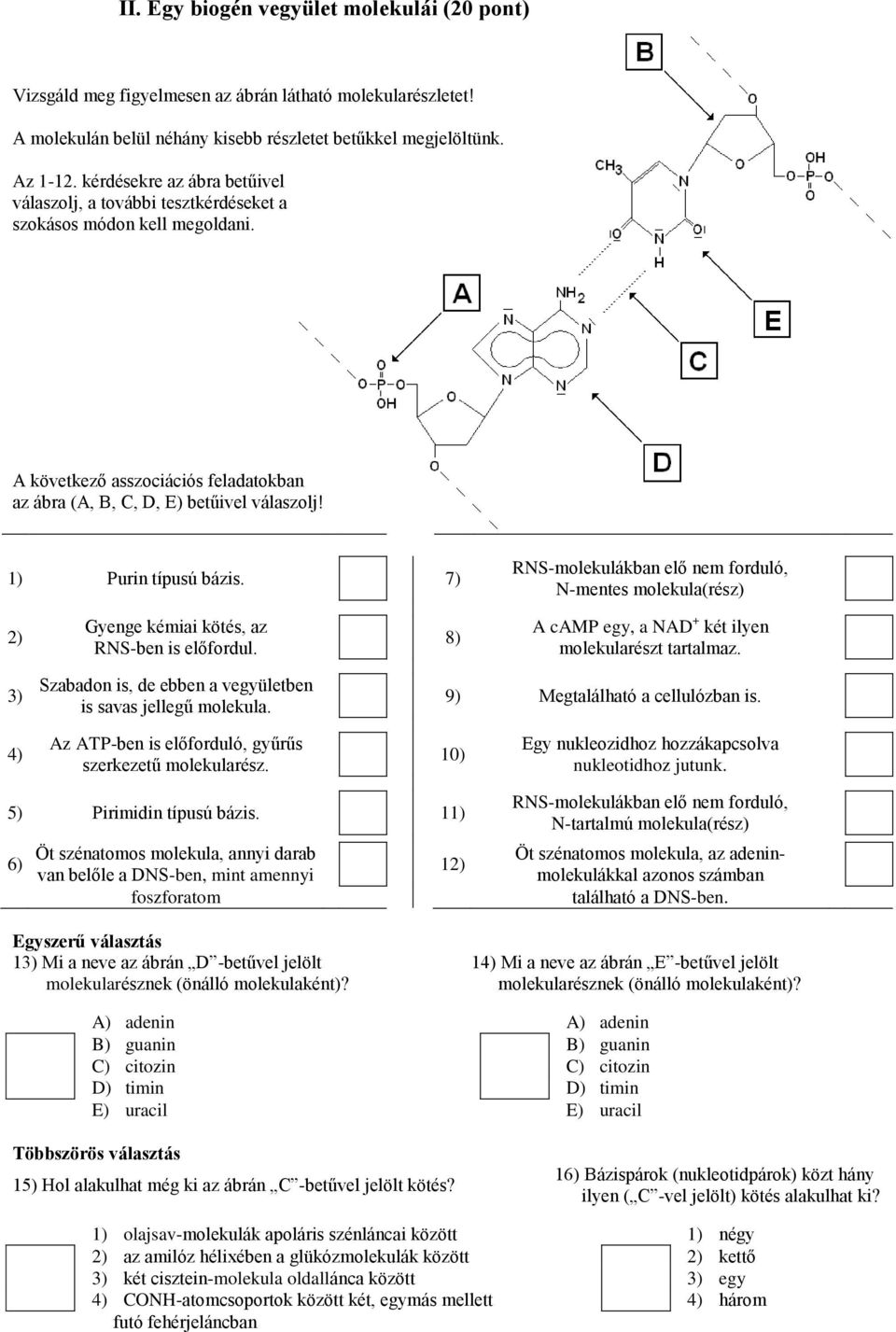 1) Purin típusú bázis. 7) RNS-molekulákban elő nem forduló, N-mentes molekula(rész) 2) Gyenge kémiai kötés, az RNS-ben is előfordul. 8) A camp egy, a NAD + két ilyen molekularészt tartalmaz.