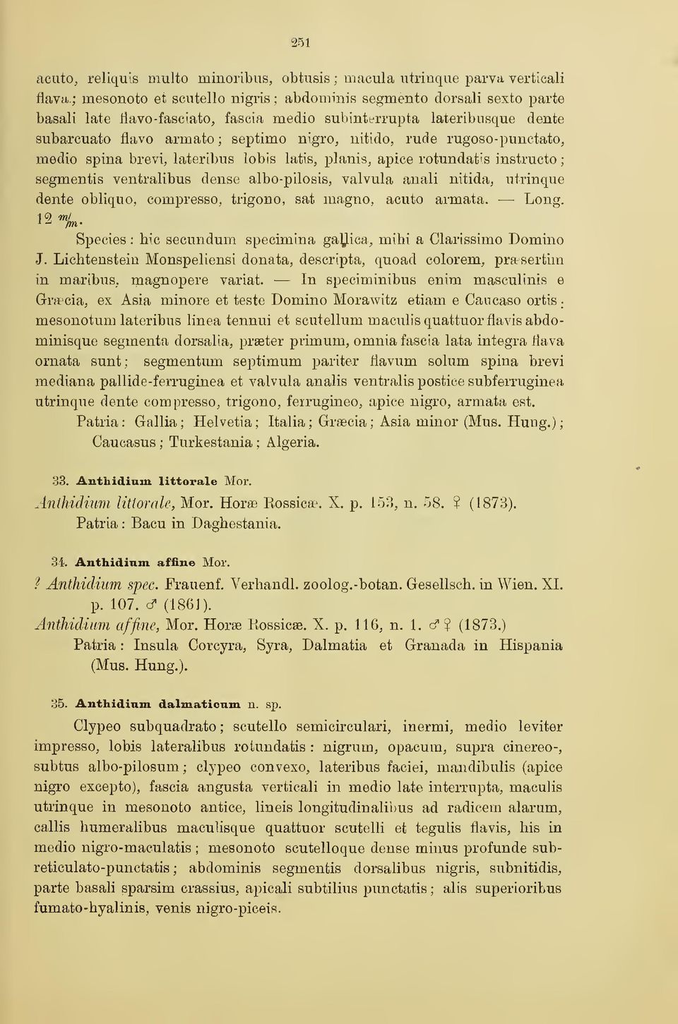 rugoso-punctato, medio spina brevi, lateribus lobis latis, planis, apice rotundatis instructo ; segmentis ventralibus dense albo-pilosis, valvula anali nitida, utrinque dente obliquo, compresso,