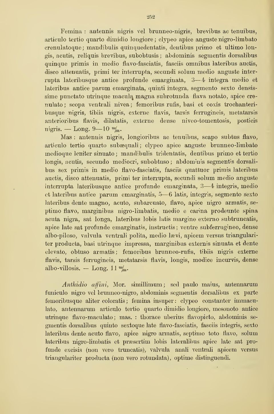 interrupta, secundi solum medio anguste interrupta lateribusque antice profunde emarginata, 3 4 intégra medio et lateribus antice ]Darum emarginata, quinti intégra, segmento sexto densissime punctato