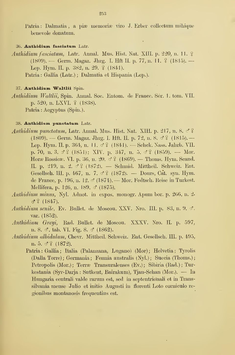 Anthidium Waltlii, Spin. Annal. Soc. Entom. de France. Sér. 1. torn. VII. p. 520, n. LXVL? (1838). Patria : Aegyptus (Spin.). 38. Ânthidiam pnnctatnm Latr. Anthidium pundatiim, Latr. Annal. Mus. Hist.