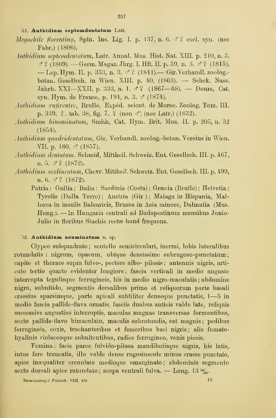 Jahrb. XXI XXII. p. 333, n. 1. cf? (1867 68). Dours, Cat. syn. Hym. de France, p. 194, n. 3. cf (J 874). Anthidium rufiventre, Brullé, Expéd. scient, de Moréé. Zoolog. Tom. HL p. 339.?. tab. 38, fig.