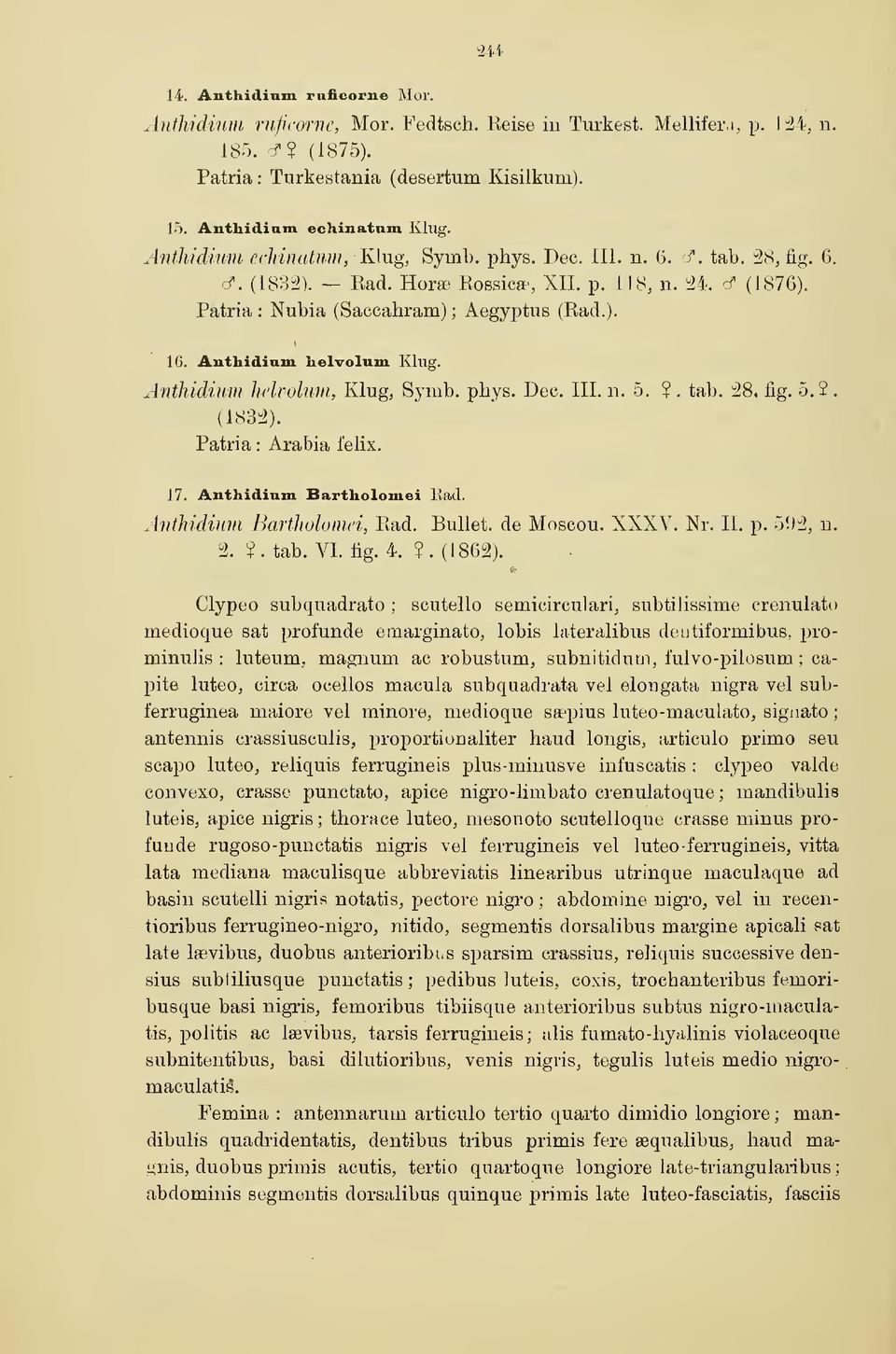 Anthidinm helvolum King. Anthidinm helvolum, Klug, Symb. phys. Dec, III. n. 5.?. tab. 38, fig. 5,2. (1833). Patria : Arabia felix. 17. Anthidinm Bartholomei Ead. Anthidiimi Bartholuiiin, Rad.