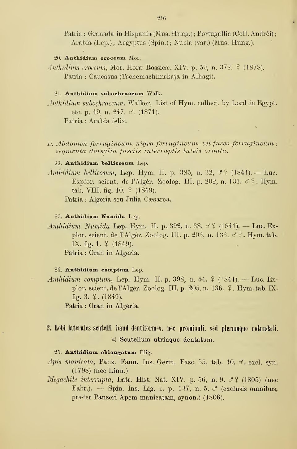 collect, by Lord in Egypt, etc. p. 49, n. M7. (f. (1871). Patria : Arabia felix. D.
