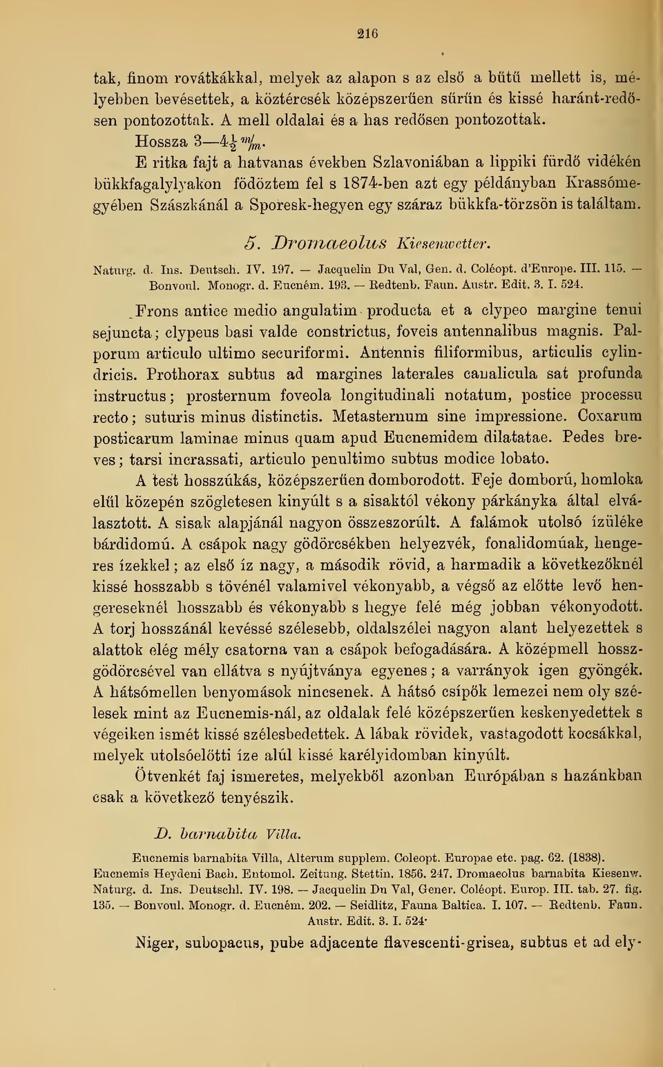 E ritka fajt a hatvanas években Szlavóniában a lippiki fürd vidékén bükkfagalylyakön fedeztem fel s 1874-ben azt egy példányban Krassómegyében Szászkánál a Sporesk-hegyen egy száraz bükkfa-törzsön is