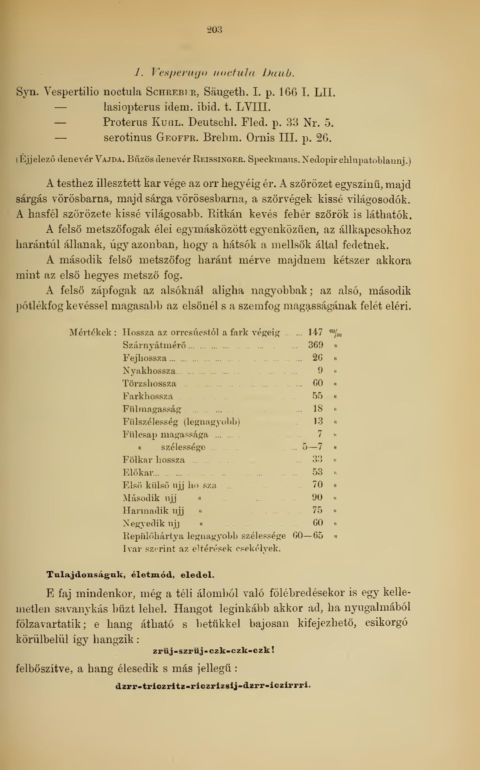 A szrözet egyszinü, majd sárgás vörösbarna, majd sárga vörösesbarna, a szörvégek kissé világosodok. A hasfél szörözete kissé világosabb. Eitkán kevés fehér szrök is láthatók.