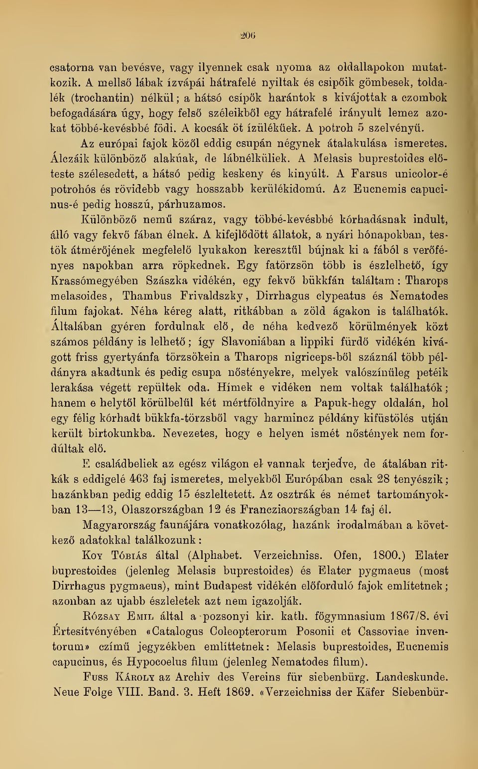 Az európai fajok közöl eddig csupán négynek átalakulása ismeretes. befogadására úgy, hogy fels széleikbl egy hátrafelé irányult lemez azokat többé-kevésbbé födi.