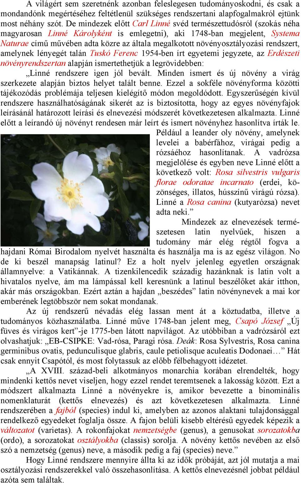 növényosztályozási rendszert, amelynek lényegét talán Tuskó Ferenc 1954-ben írt egyetemi jegyzete, az Erdészeti növényrendszertan alapján ismertethetjük a legrövidebben: Linné rendszere igen jól