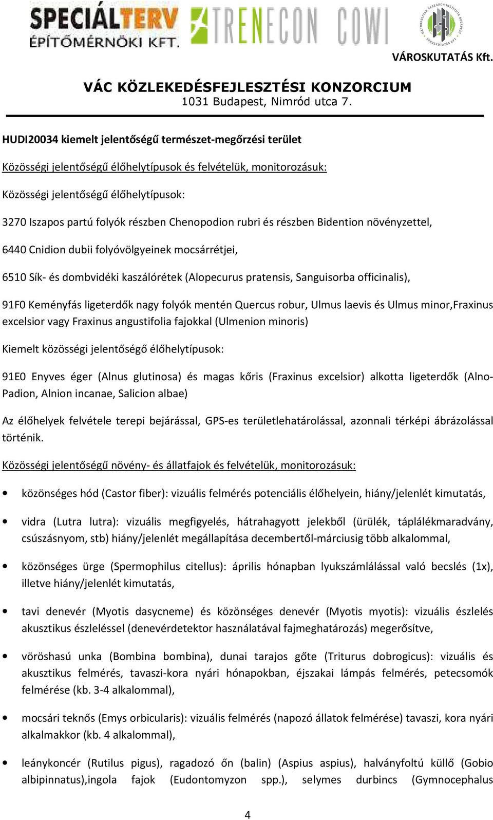 Keményfás ligeterdők nagy folyók mentén Quercus robur, Ulmus laevis és Ulmus minor,fraxinus excelsior vagy Fraxinus angustifolia fajokkal (Ulmenion minoris) Kiemelt közösségi jelentőségő