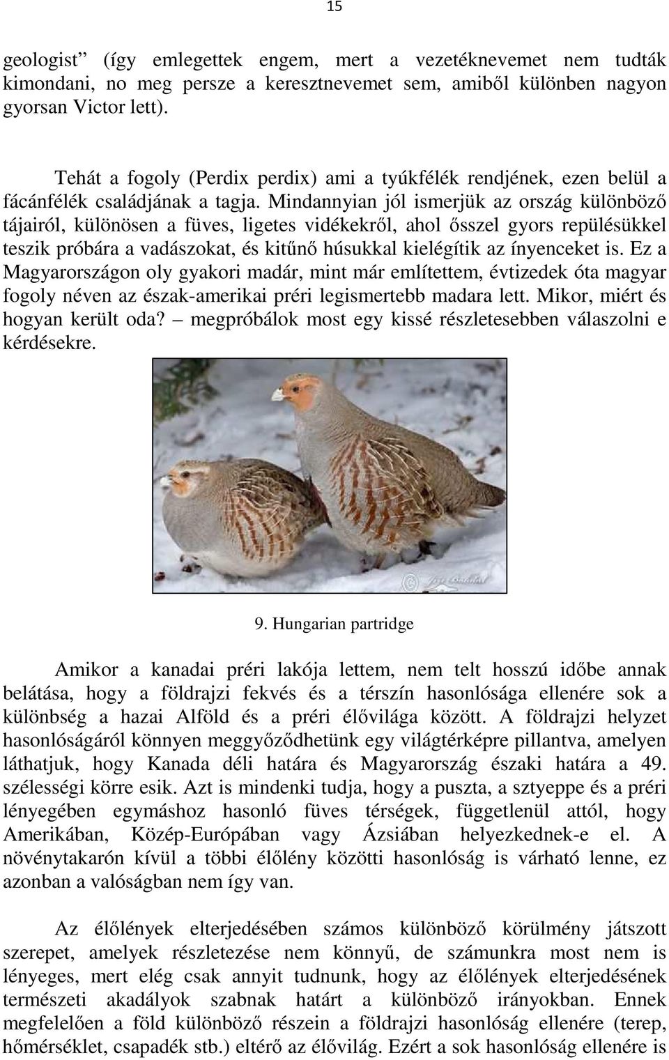 Montreal fajok közötti társkereső