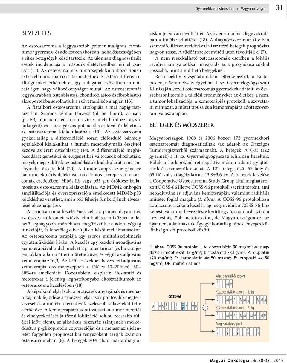 Az osteosarcomás tumorsejtek különböző típusú extracelluláris mátrixot termelhetnek és eltérő differenciáltsági fokot érhetnek el, így a daganat szövettani mintázata igen nagy változékonyságot mutat.